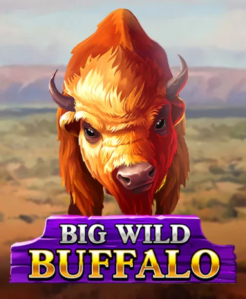 Play Big Wild Buffalo at Yay Bingo Casino